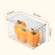 Plastic Organizer